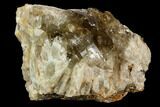 Smoky Citrine Crystal Cluster - Lwena, Congo #128422-2
